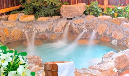 永定温泉吃瓜群众,吃瓜群众的温泉盛宴纪实