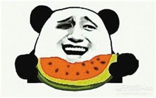 吃瓜群众导演毛毛虫,揭秘幕后故事与光影魅力