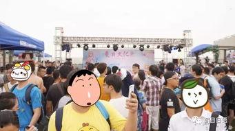 朝阳吃瓜群众的店,揭秘网红店铺的火爆之谜