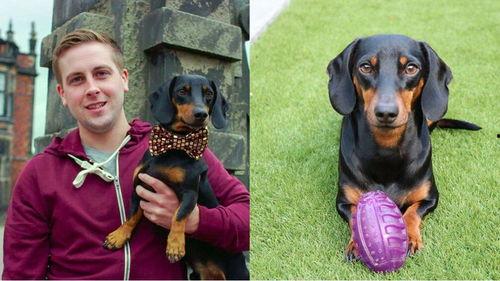 吃瓜群众白狗,揭秘娱乐圈那些不为人知的幕后故事