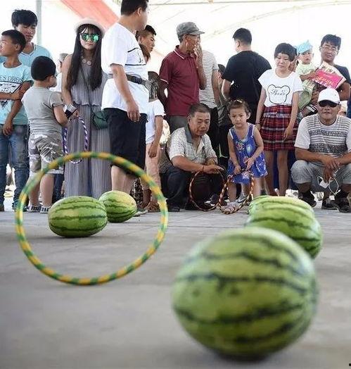 吃瓜群众分瓜图片,揭秘吃瓜群众分瓜背后的故事