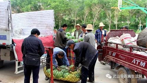 太和县吃瓜群众事件真相,揭开真相背后的社会现象