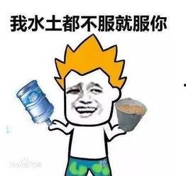 吃瓜群众表情包评论区,欢乐与吐槽的盛宴