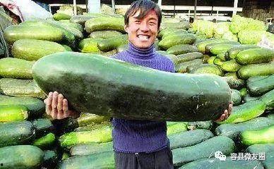 陪群众一起吃自己的瓜,陪伴群众共享快乐时光