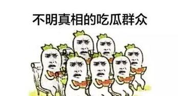 我们都是吃瓜群众,我们都是吃瓜群众的欢乐与困惑