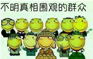 龙岛吃瓜群众是谁,网络热议背后的真实故事