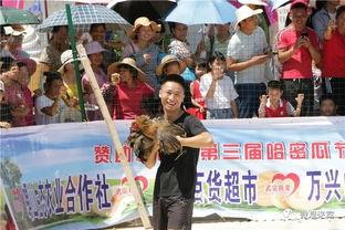 吃瓜群众的成长感悟心得,从吃瓜群众到理性思考者的成长蜕变