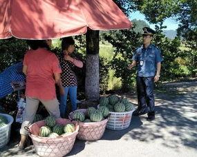 康县吃瓜群众是谁,一场民间舆论的风暴