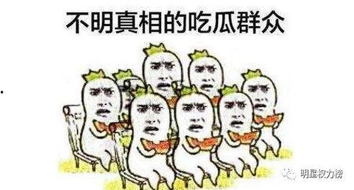 饭圈吃瓜群众怎么说的,揭秘吃瓜群众的八卦心声