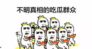 非官方吃瓜群众,非官方吃瓜群众视角下的八卦风云