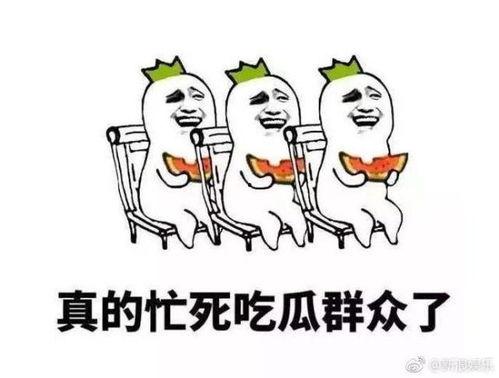 特别聪明的吃瓜群众,特别聪明的吃瓜群众如何洞察娱乐圈风云