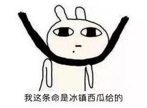 吃瓜群众多的人们怎么形容,揭秘吃瓜群众的热烈与狂欢